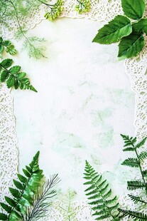 绿叶蕾丝边框清新背景图