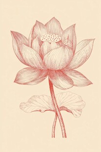 手绘古风红莲花图案