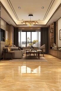 现代简约风豪华客厅展示