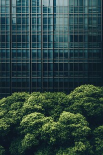 都市丛林中的绿植与高楼