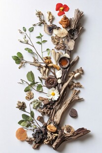 自然元素拼贴的艺术造型