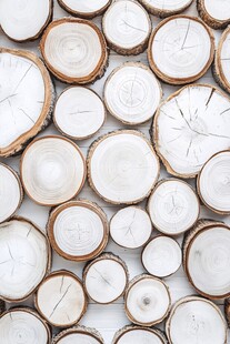 原木切片墙面装饰艺术