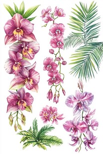 水彩绘粉紫兰花与绿植