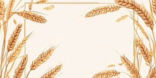 麦香四溢的田园边框背景