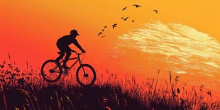 夕阳下的骑行者与飞鸟