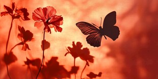 蝶舞繁花间 暖色剪影美