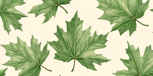 手绘枫叶图案 清新自然风