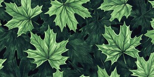 翠绿枫叶无缝图案背景