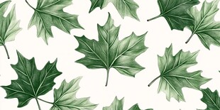 绿色枫叶无缝图案背景