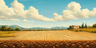 田园风光中的广袤农田