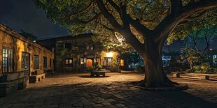 古院大树下的静谧夜景