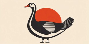 夕阳下的简约风黑羽鹅