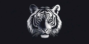 黑白老虎头像特写