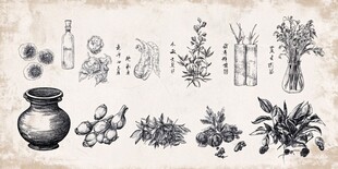 手绘传统草药与器物图