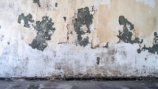 斑驳老旧墙面 尽显岁月痕迹