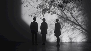 三人树影下的静谧时刻