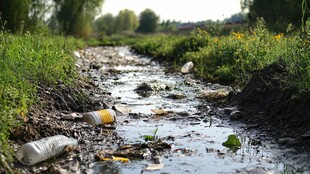 乡村小溪边的垃圾污染景象