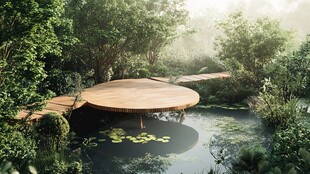 森林中的圆形水上木质平台