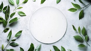 绿叶环绕的空白圆形画面