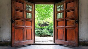 推开木门见绿意