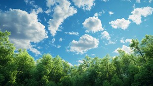 蓝天绿树 清新自然景象