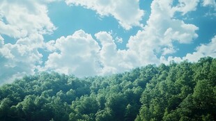 蓝天白云下的葱郁山林