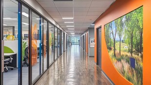 现代办公走廊的清新景致