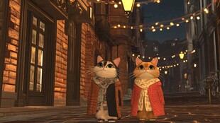 街道上的两只盛装猫咪
