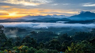 山间晨雾中的壮丽日出景观