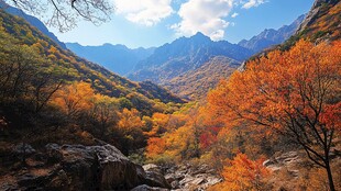 秋景山林间的绚烂山色