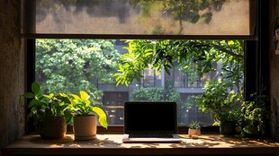 窗边绿植环绕的办公小角落