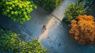 秋日街道独行者