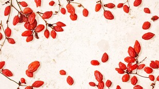 枸杞散落在浅色背景上