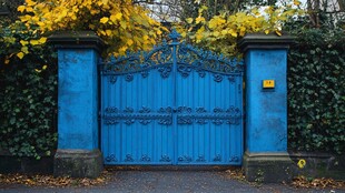 蓝色铁艺大门与金黄枝叶