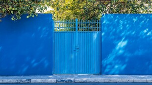 蓝色围墙与金属门景致