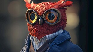 戴眼镜的红色猫头鹰人偶