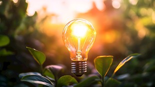 灯泡绽于绿意中的梦幻之光