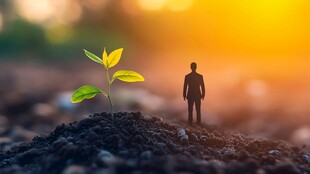 人与幼苗 希望与成长图景