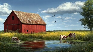 红 barn 旁牛群在水边休憩