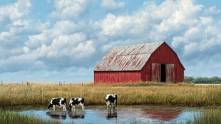 乡村红 barn 与饮水的奶牛