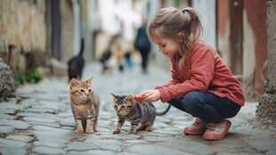小女孩街头温柔逗弄小猫