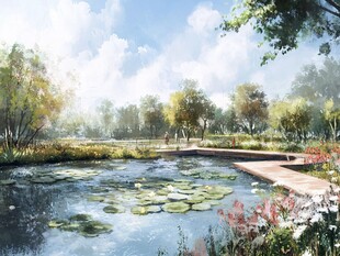 湖畔美景 绿意盎然的自然风光