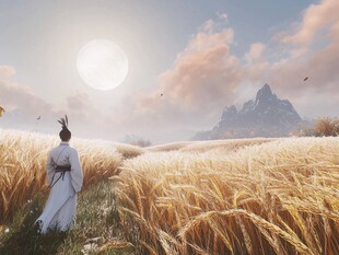 白衣旅人漫步金色麦野