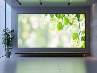 室内绿植大屏装饰场景