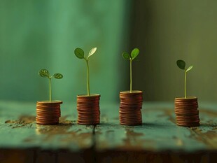 硬币上生长的希望幼苗