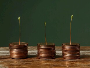 硬币上生长的希望幼苗