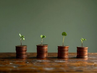 硬币上的绿植 财富与生机