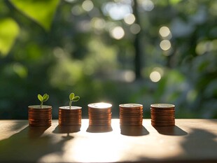 硬币上萌芽 财富与希望共生