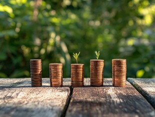 硬币堆上绽新绿