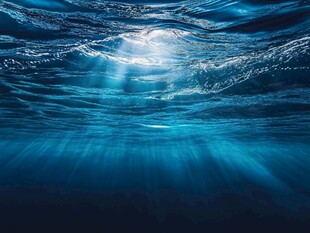 深海阳光穿透的梦幻景象